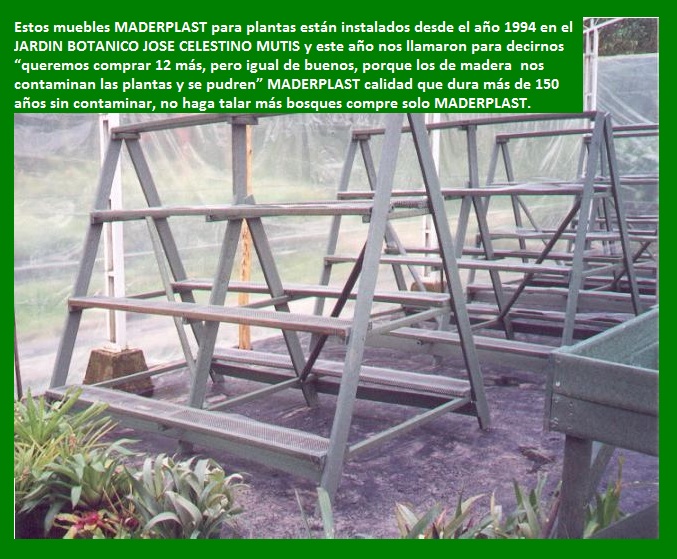 plantas vivas en estanterías planta viva vivero jardín estante para plantas vivas mostrador exhibidor de plantas vivas mostrador de plantas vivas en repisa armario tarima estantes de matas 0007 plantas vivas en estanterías planta viva vivero jardín estante para plantas vivas mostrador exhibidor de plantas vivas mostrador de plantas vivas en repisa armario tarima estantes de matas 0007